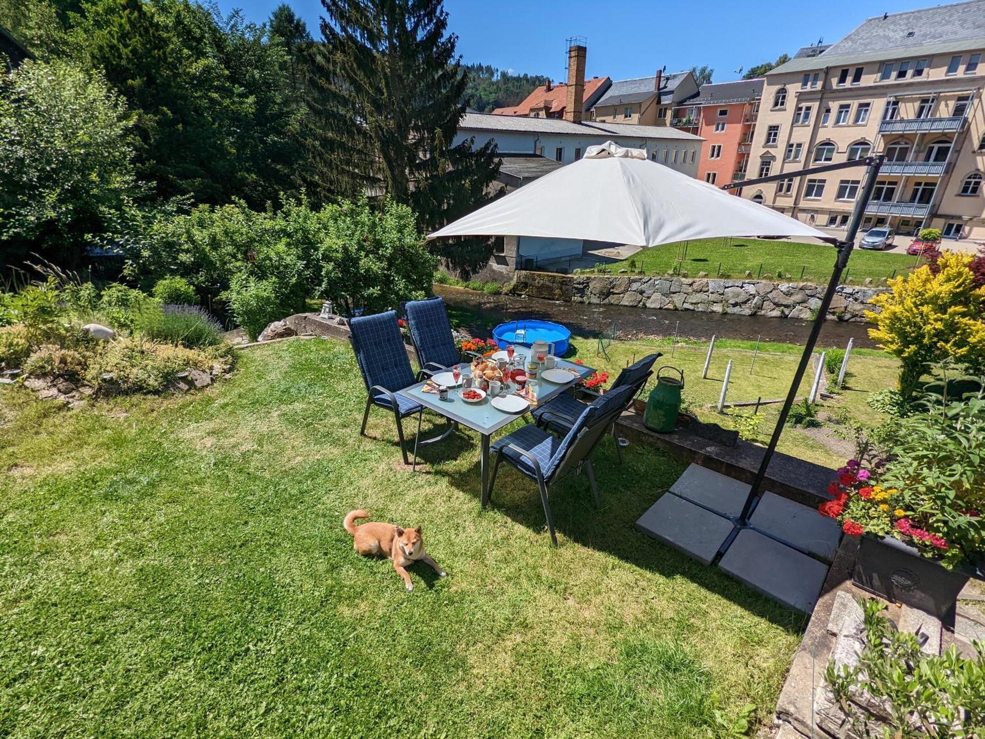 F3 Urlaubsmagie - Pool, Garten & Terrasse - 4P Sebnitz Eksteriør billede