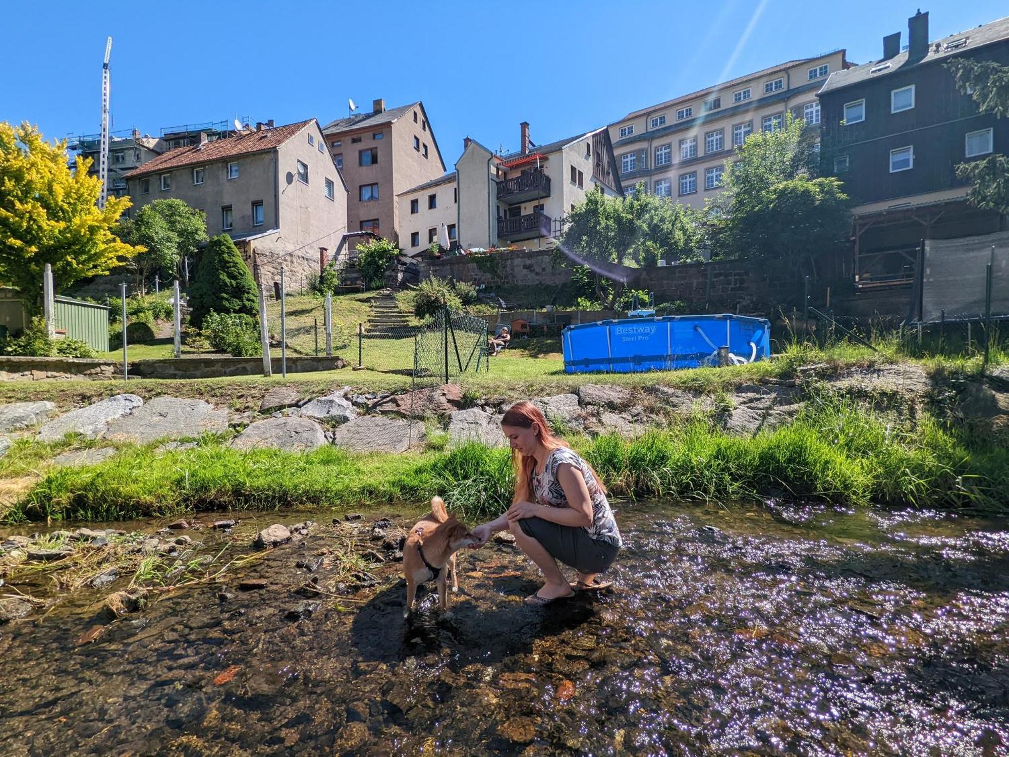 F3 Urlaubsmagie - Pool, Garten & Terrasse - 4P Sebnitz Eksteriør billede