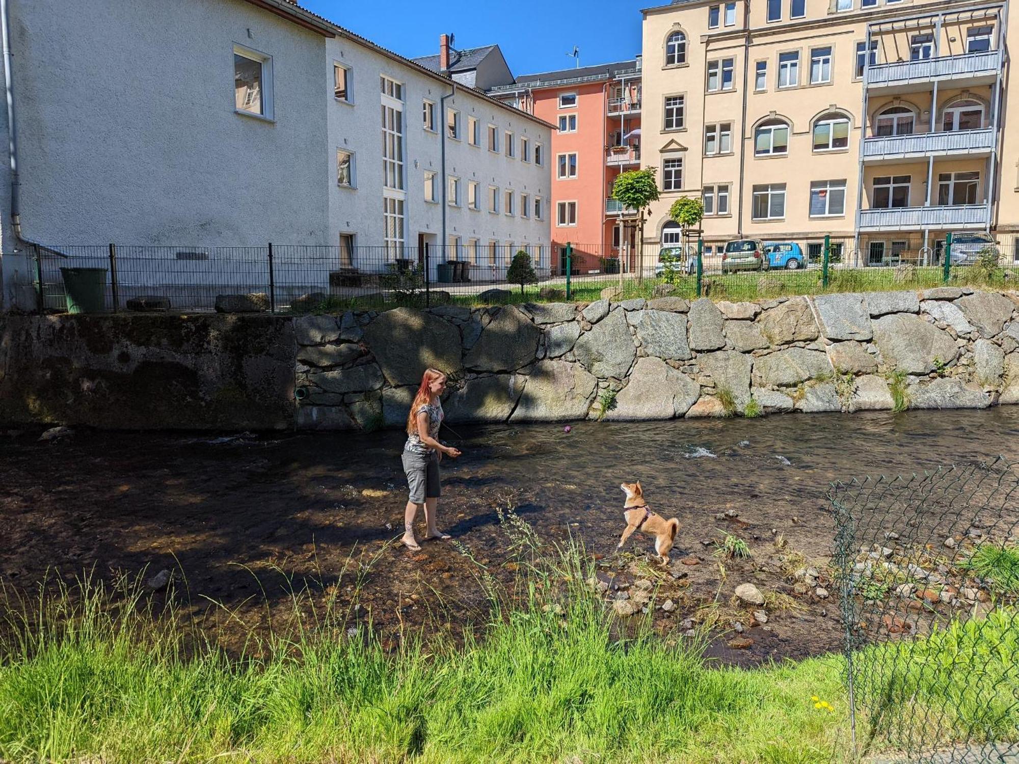 F3 Urlaubsmagie - Pool, Garten & Terrasse - 4P Sebnitz Eksteriør billede