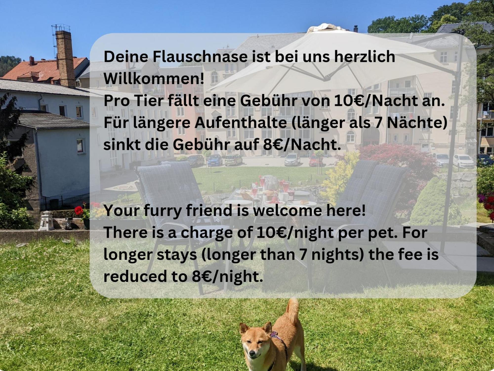 F3 Urlaubsmagie - Pool, Garten & Terrasse - 4P Sebnitz Eksteriør billede